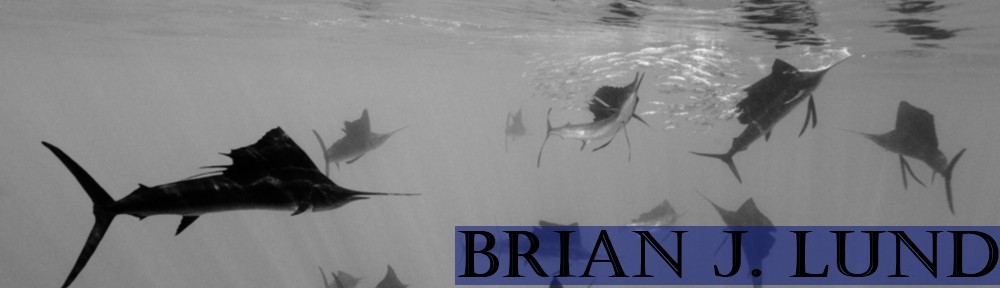 Brian J. Lund